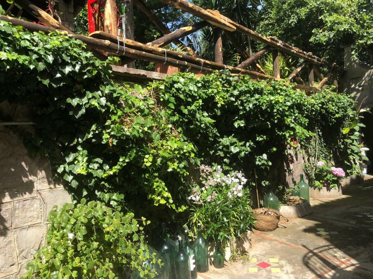 מטה Villa La Quercia מראה חיצוני תמונה